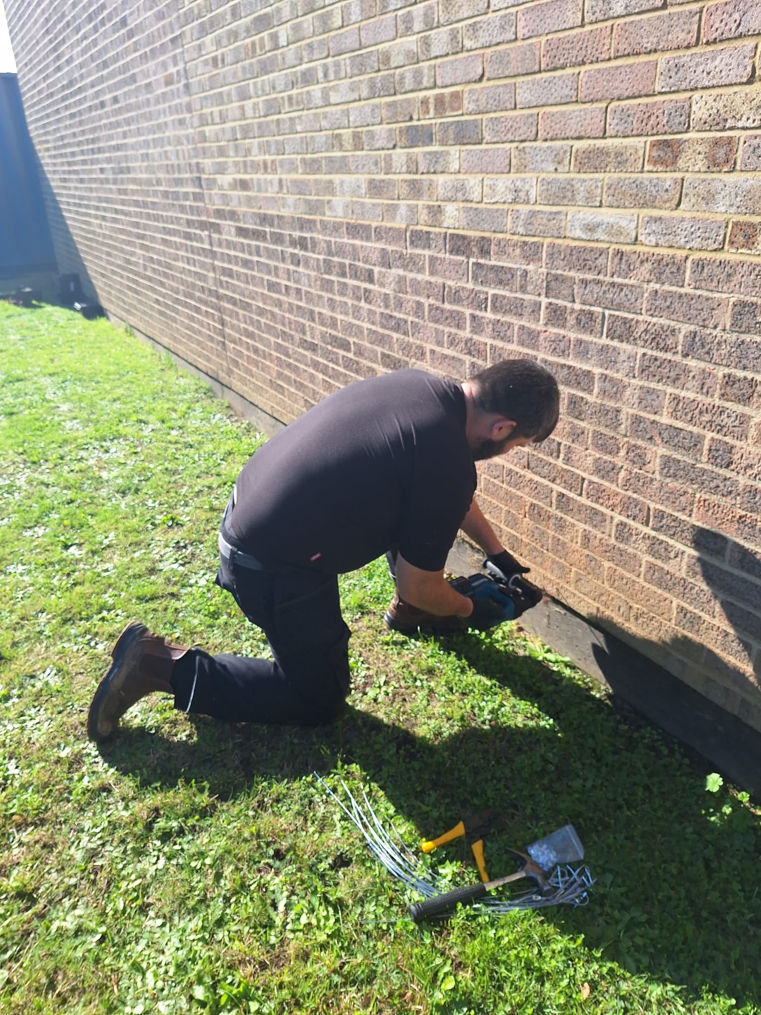 Domestic Pest Control